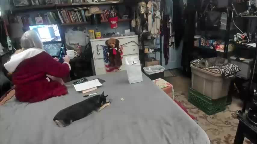 pink_black Live Sex March 15, 2026