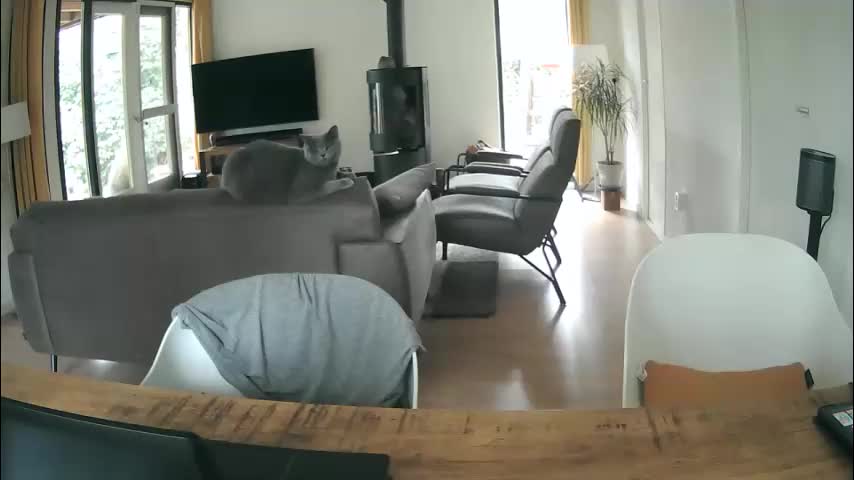 woodwurm Live Sex March 15, 2026