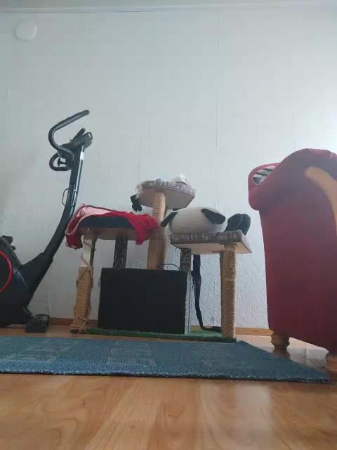 MySky23 Live Sex March 15, 2026