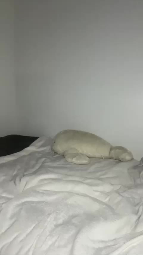 VanessaVenom Live Sex March 17, 2026