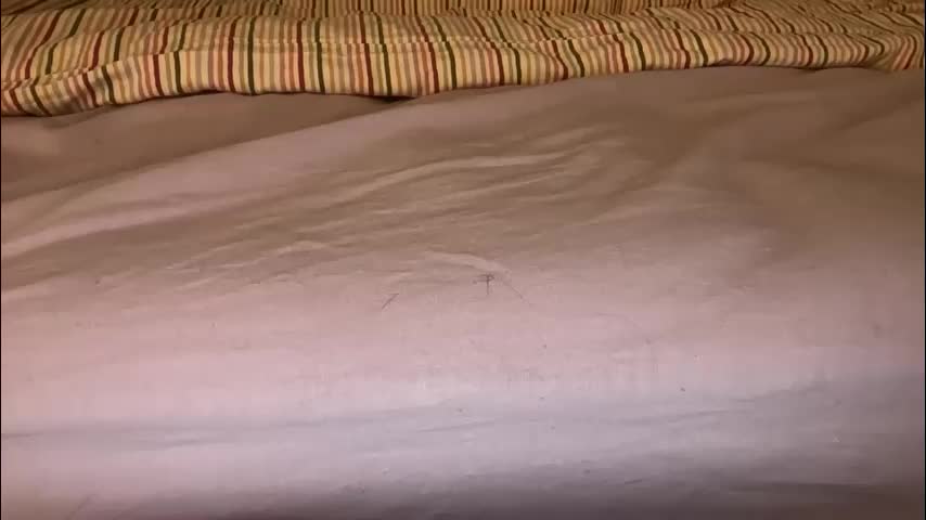 marsandvene1a Live Sex March 17, 2026