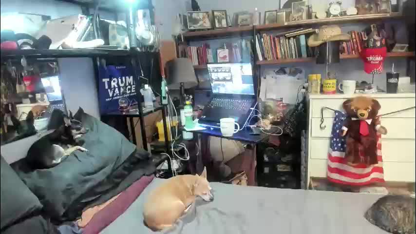 pink_black Live Sex March 17, 2026