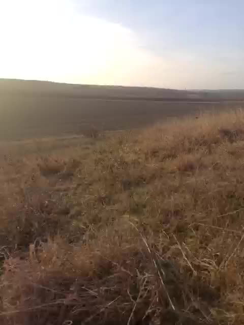 Marta24a Live Sex March 19, 2026