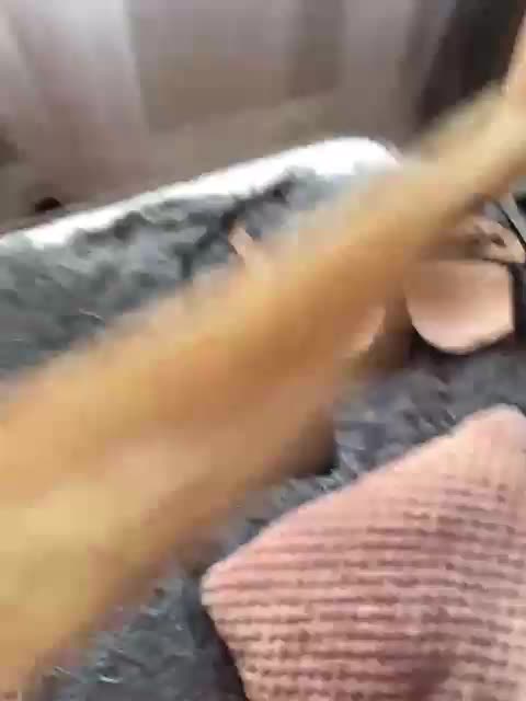 SEXPantera Live Sex March 19, 2026