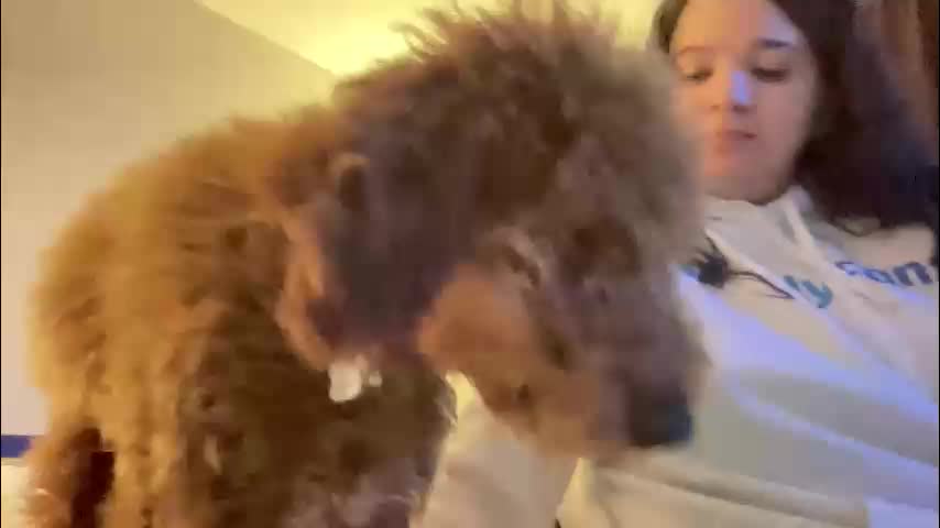 soyoceanne Live Sex March 21, 2026