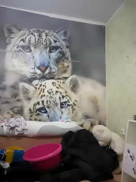 KittyTempreXXX Live Sex March 23, 2026