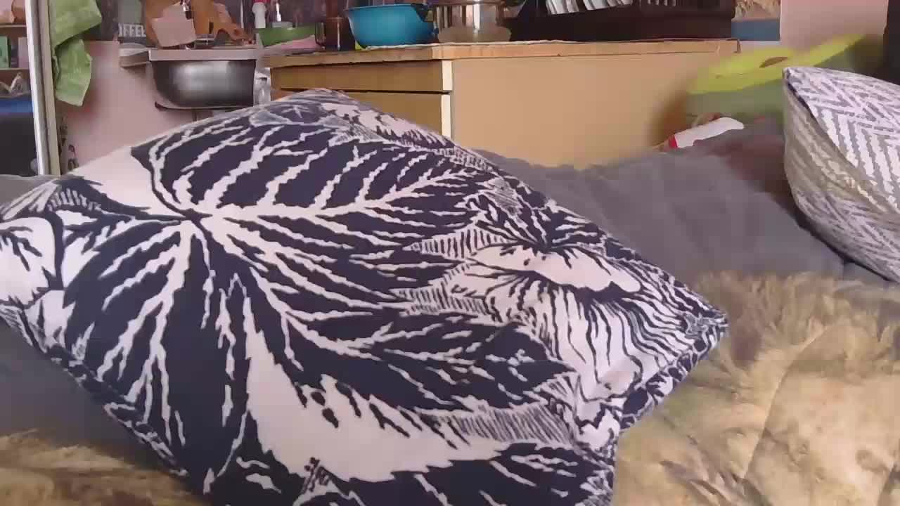 Ornotores_wers Live Sex March 25, 2026