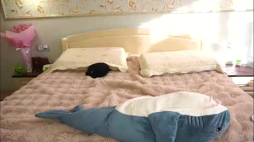 meghanantell Live Sex March 26, 2026