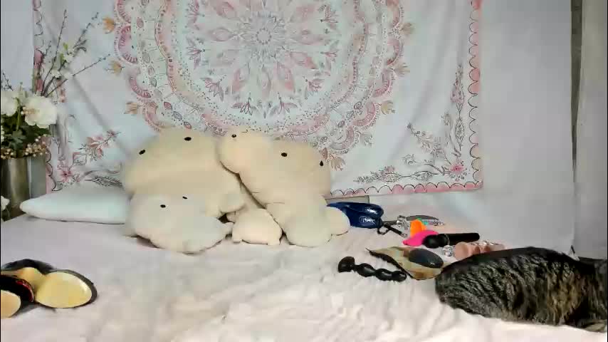 fit_american_girl Live Sex March 27, 2026