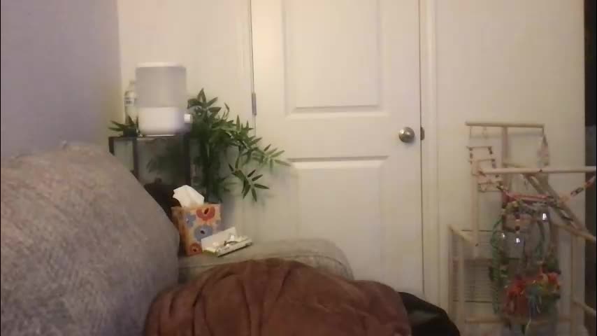 texas_blonde Live Sex March 31, 2026