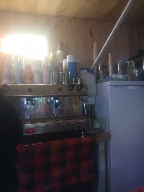 Katriona Live Sex April 3, 2026