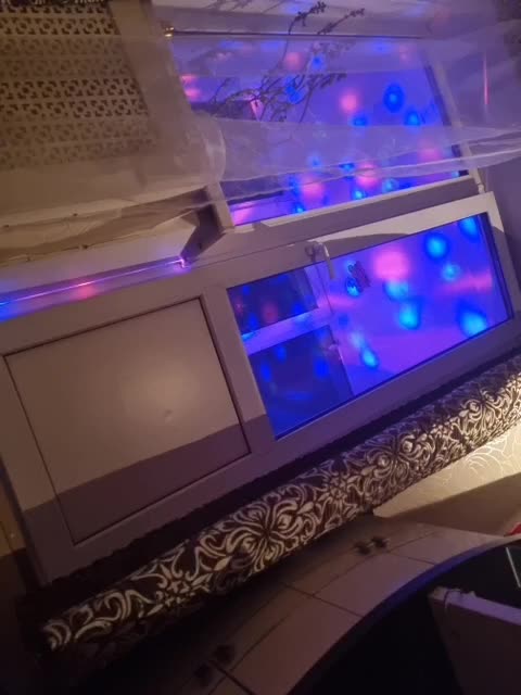 DenXXXTan Live Sex April 6, 2026