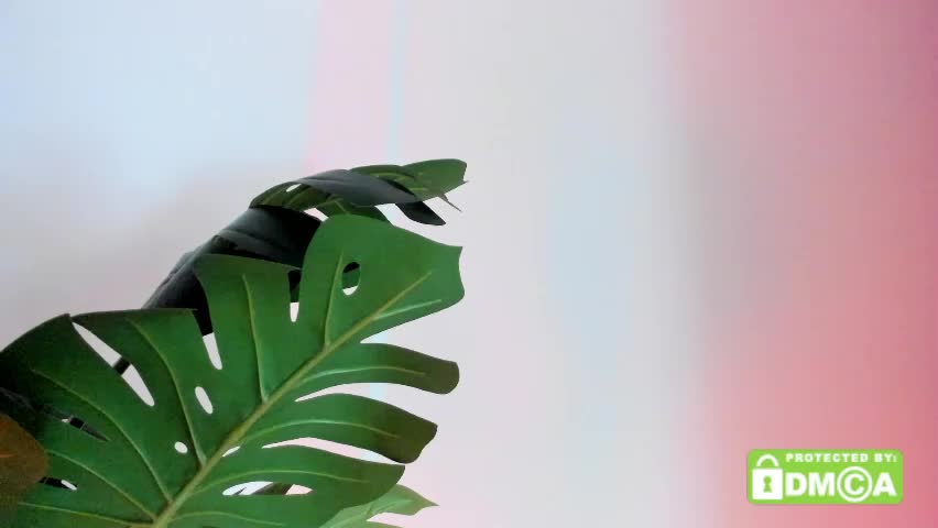 ashllovee_ Live Sex April 7, 2026