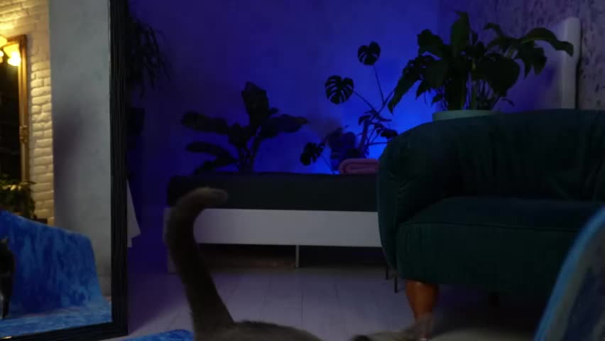 clara_bendover Live Sex April 7, 2026