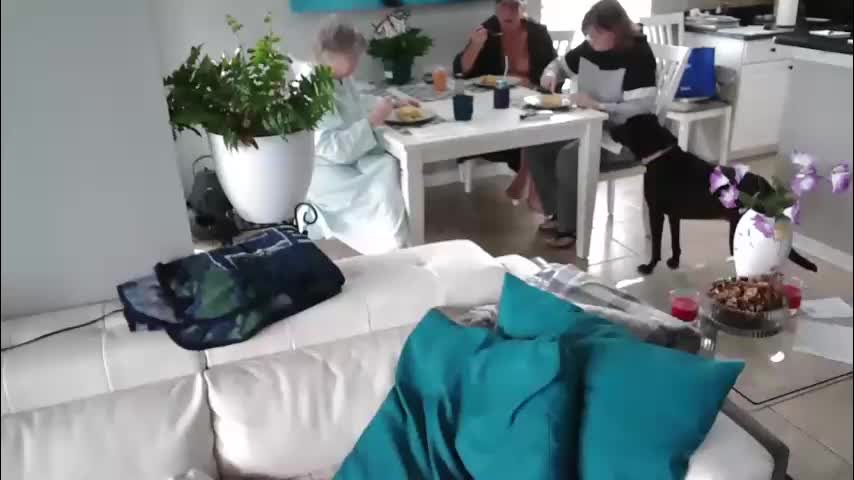 smallpenisbigtongue Live Sex April 8, 2026