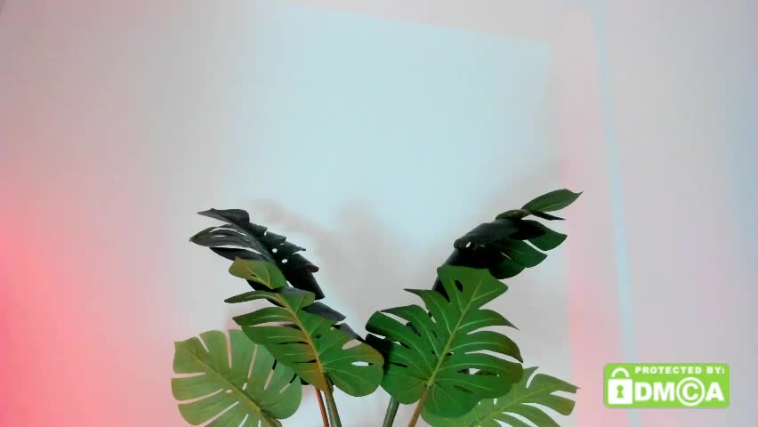 ashllovee_ Live Sex April 10, 2026