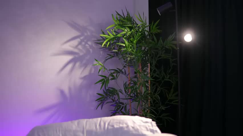 _arielle Live Sex April 10, 2026