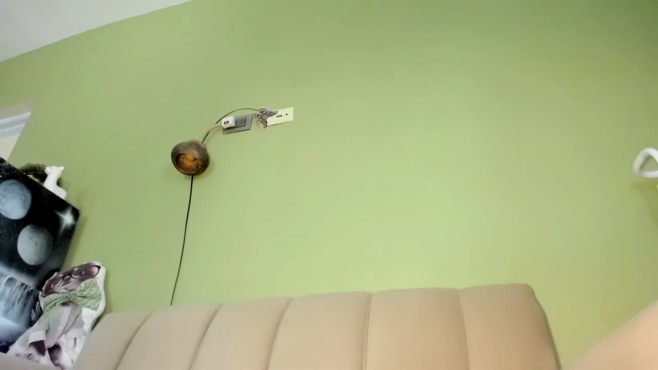 Mspurrfect Live Sex April 10, 2026