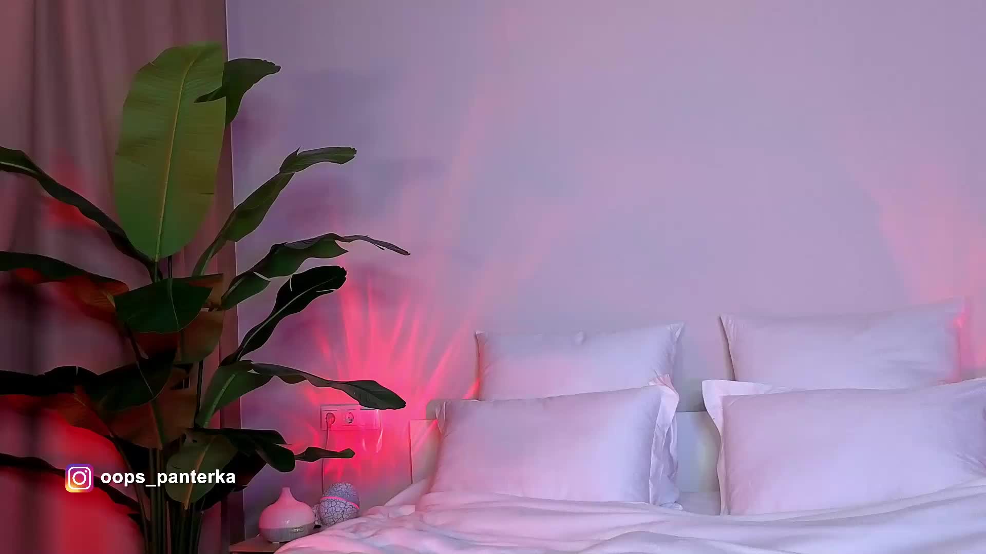 Amyleeplayss Live Sex April 11, 2026