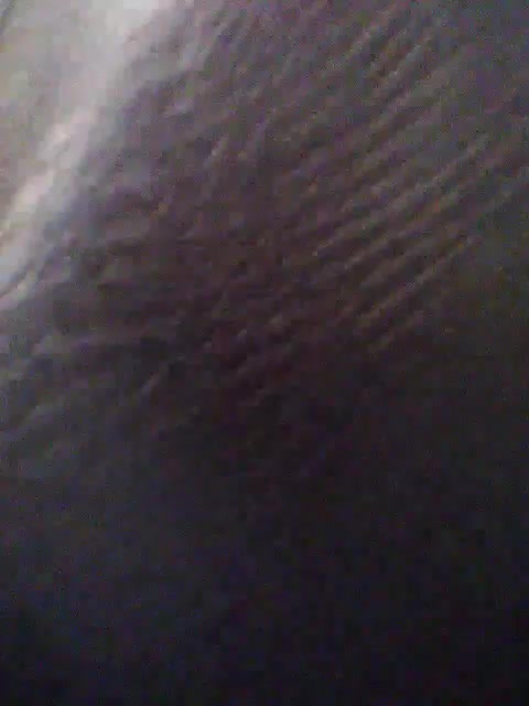 KlientVsegdaPrav Live Sex April 11, 2026