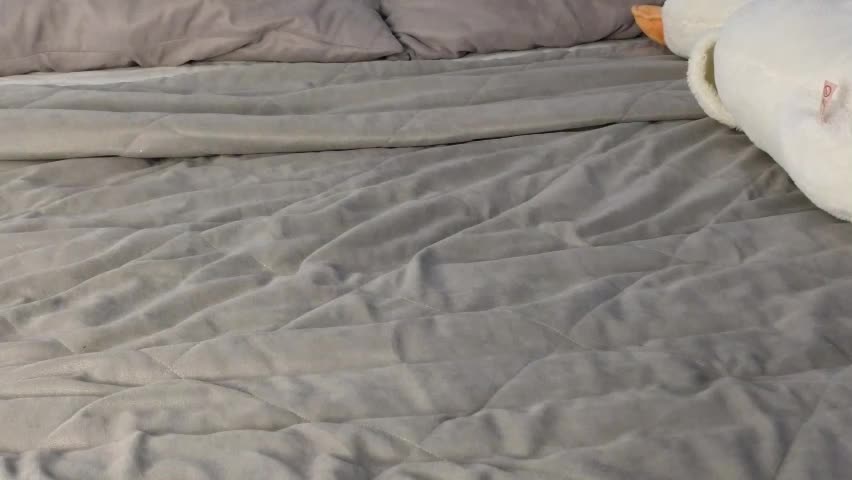 adele_armas Live Sex April 11, 2026