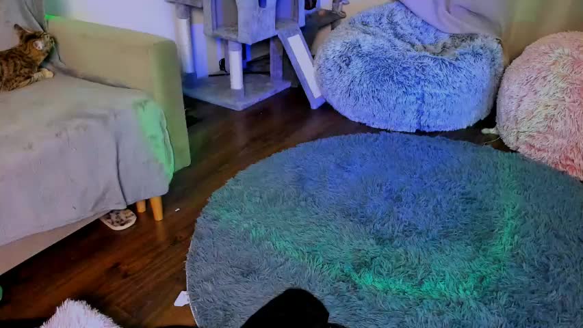 ladytrep Live Sex April 11, 2026