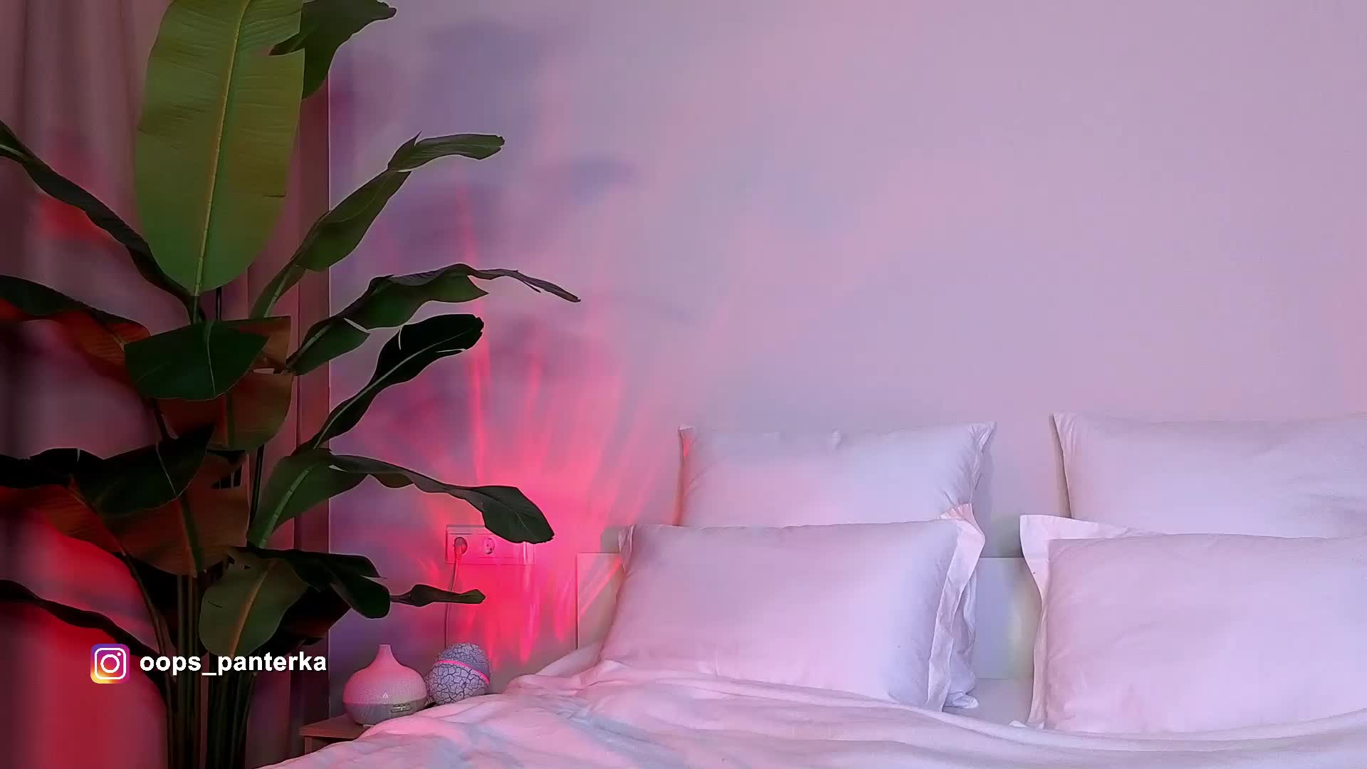 Amyleeplayss Live Sex April 11, 2026