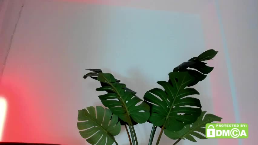 ashllovee_ Live Sex April 12, 2026