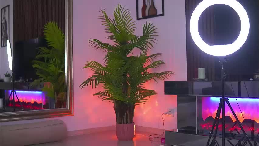 abbela_white Live Sex April 12, 2026