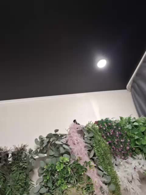 -scyrim- Live Sex April 13, 2026