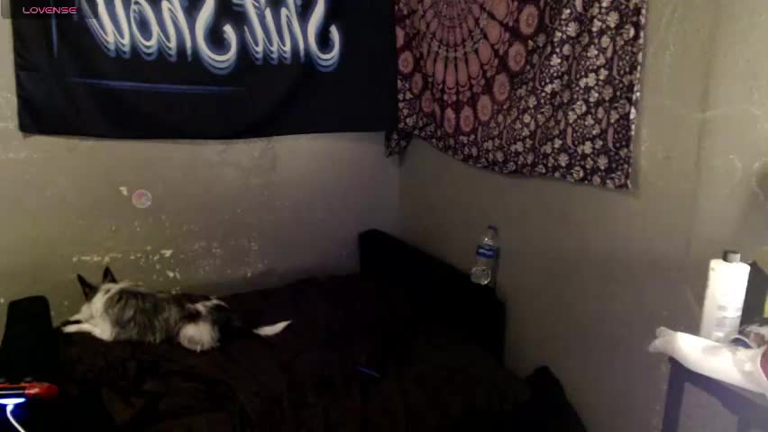 londonray Live Sex April 13, 2026