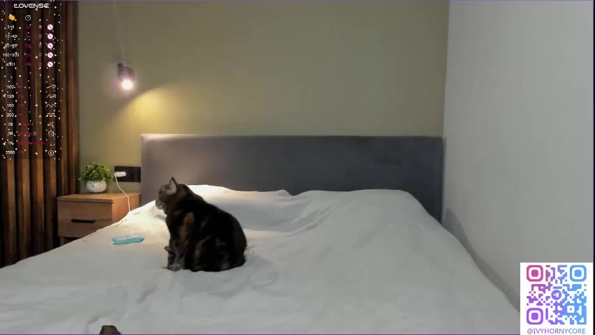 shy_suchka Live Sex April 14, 2026