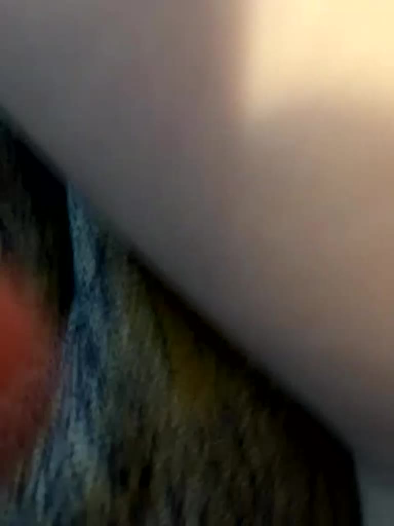 hotpars Live Sex April 14, 2026
