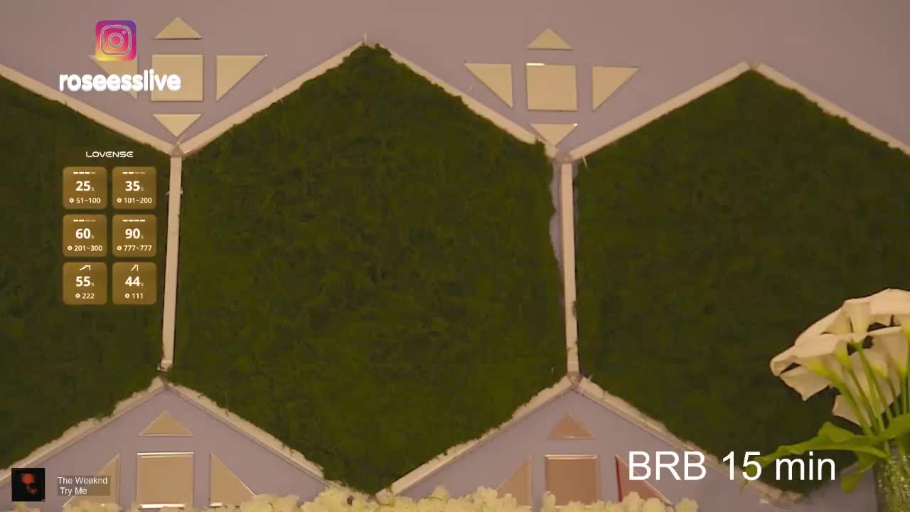 rosess_ Live Sex April 16, 2026
