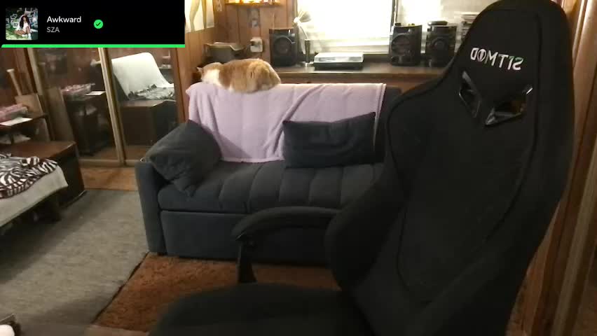 incognitoqueen Live Sex April 17, 2026