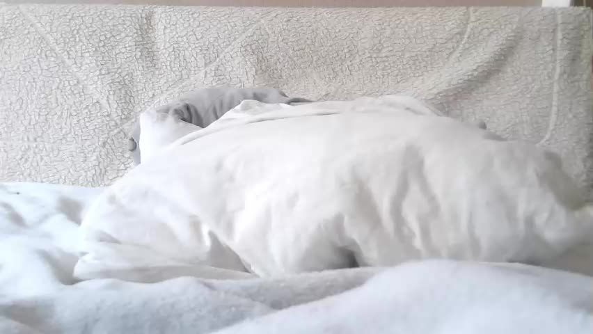 lenorrr Live Sex April 20, 2026