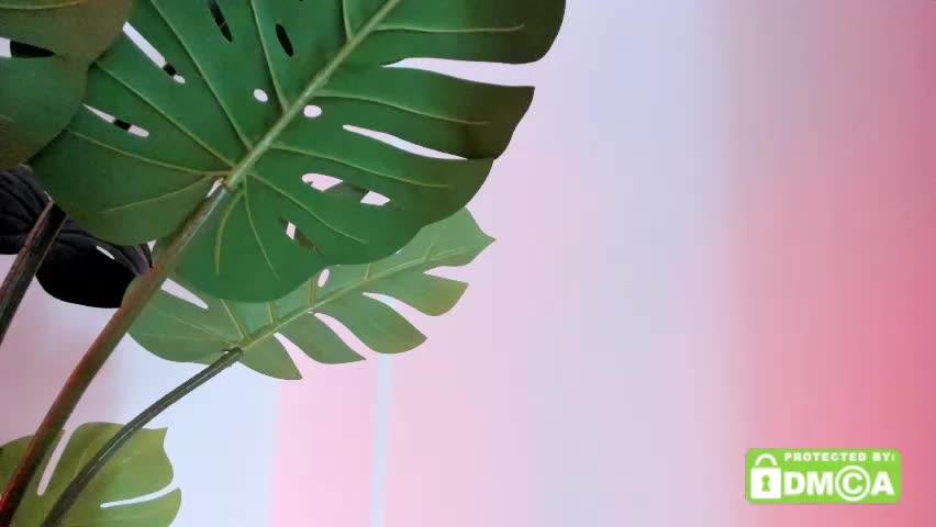 ashllovee_ Live Sex April 21, 2026