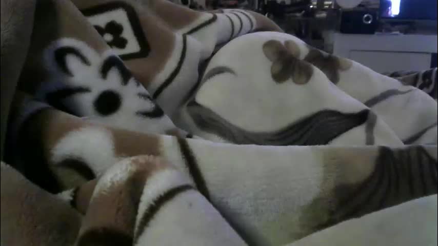 ebonyendebeest Live Sex April 21, 2026