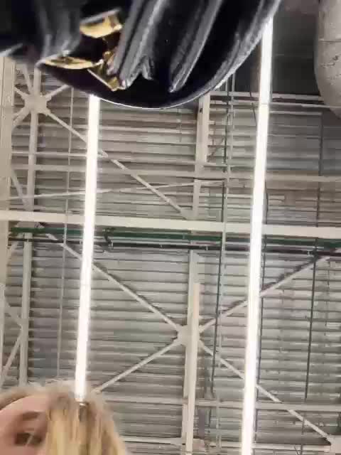 JJane- Live Sex April 23, 2026