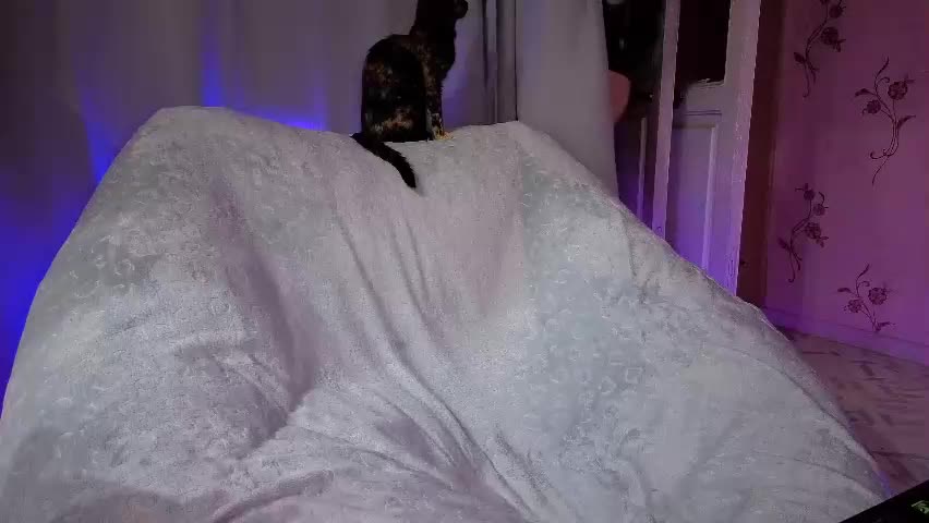 savannasotos Live Sex April 23, 2026