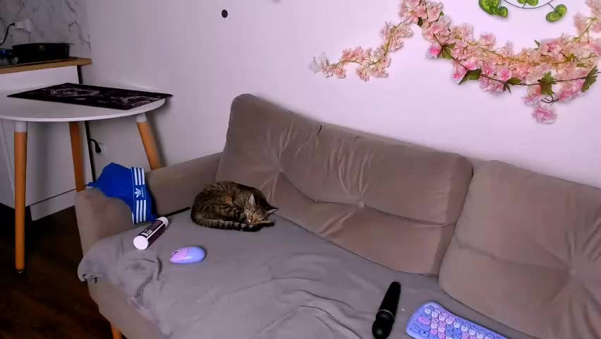 ladytrep Live Sex April 23, 2026