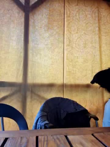 -Pupsiki- Live Sex April 23, 2026