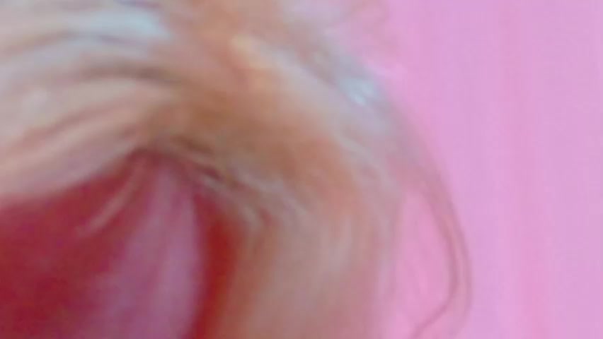 meowthlilu Live Sex April 24, 2026