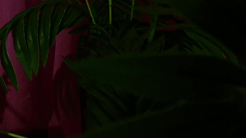 imcarrieberry Live Sex April 24, 2026