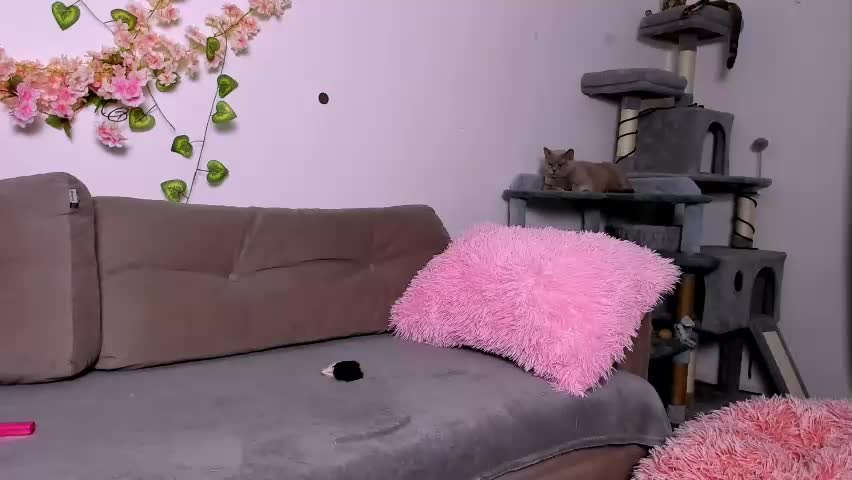ladytrep Live Sex April 25, 2026