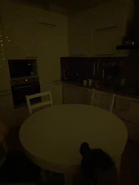 YuGoVi Live Sex April 28, 2026