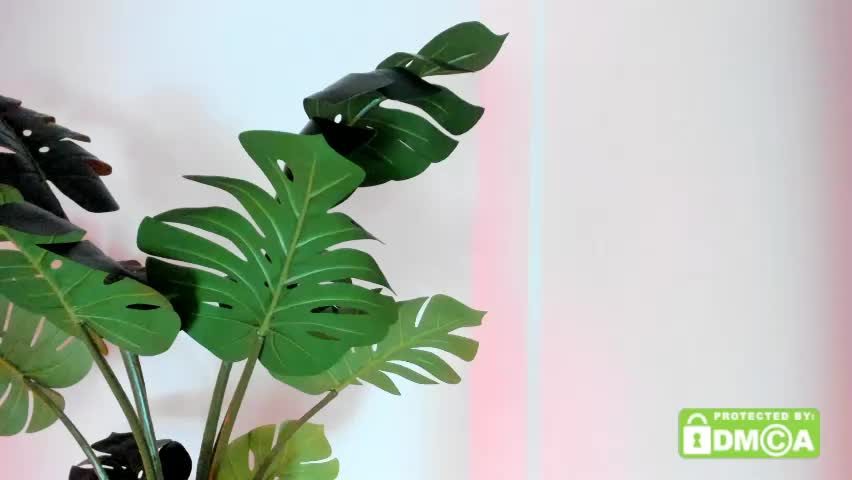ashllovee_ Live Sex April 28, 2026