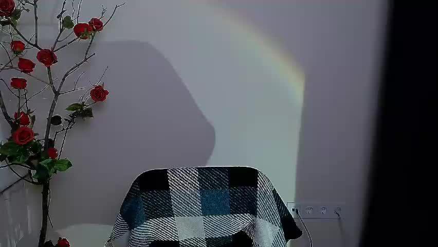 bunnybloom_ Live Sex April 29, 2026