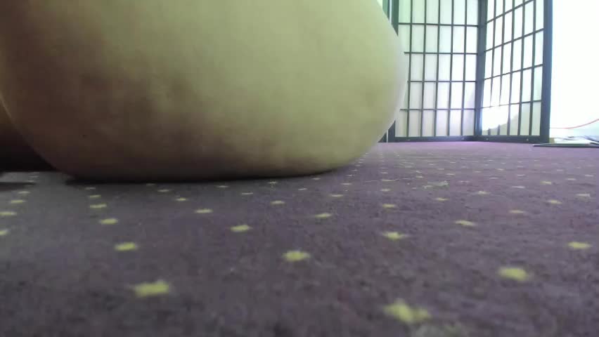aisharouhi Live Sex April 29, 2026
