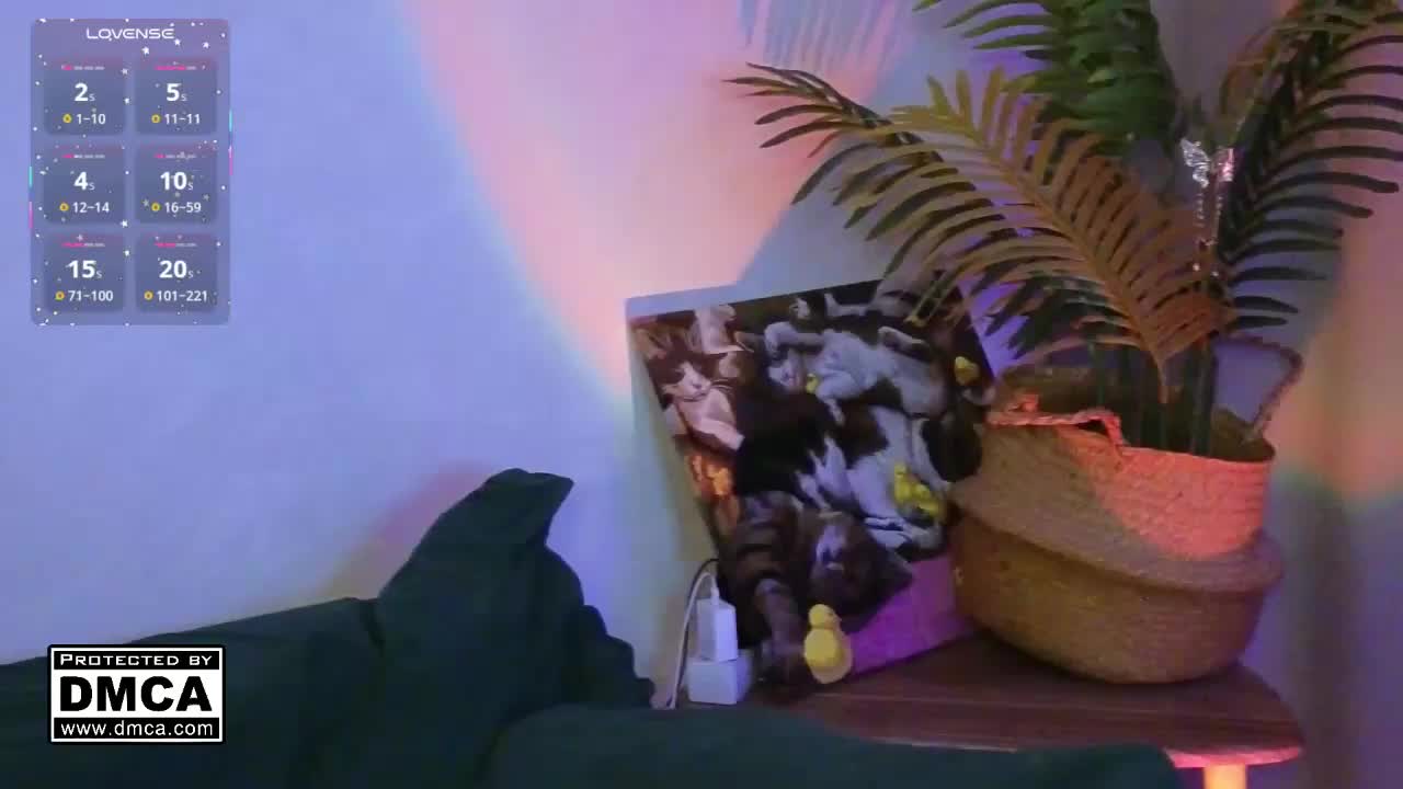 AliceWyliee Live Sex May 1, 2026